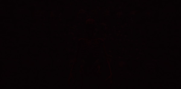 Thumbnail 13