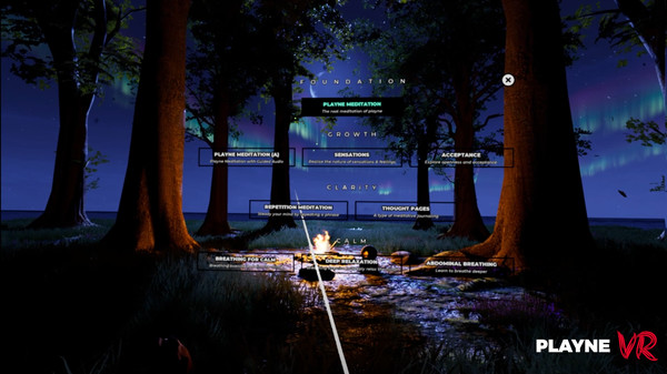 Playne VR