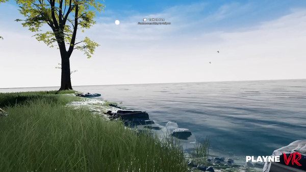 Playne VR
