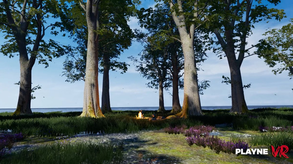 Playne VR