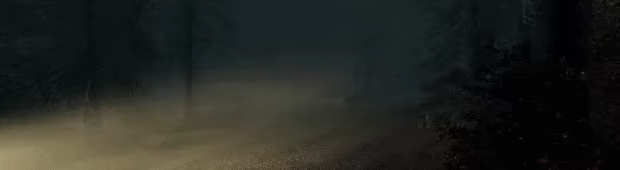 Beyond The Pines video 4