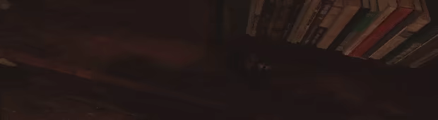Beyond The Pines video 2