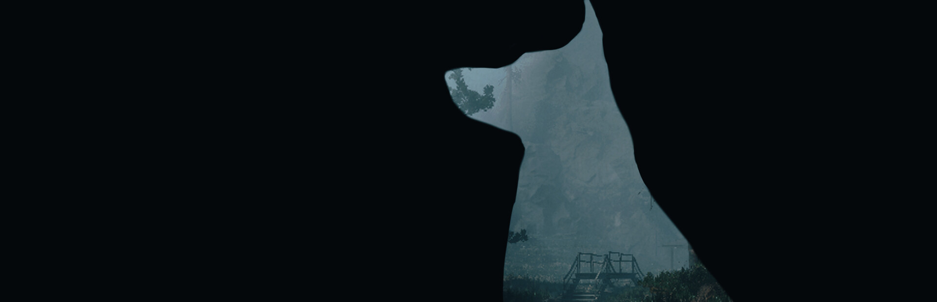 Beyond The Pines