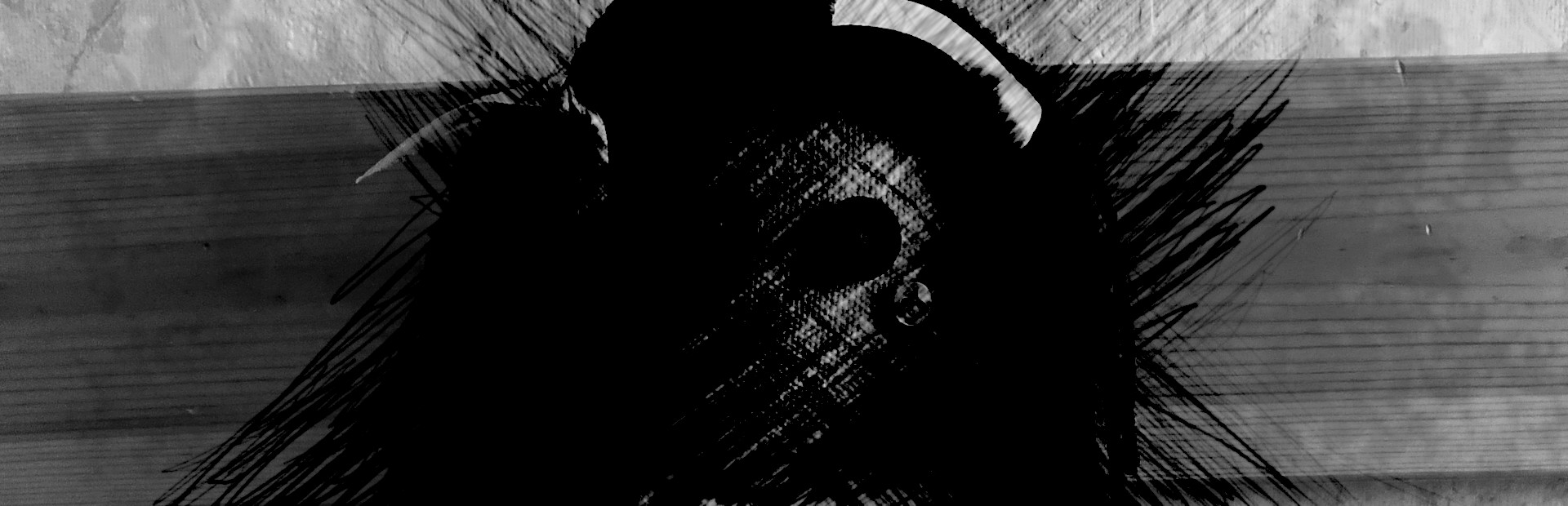 Darkness Under My Bed