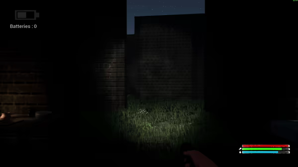 What The Maze video 1