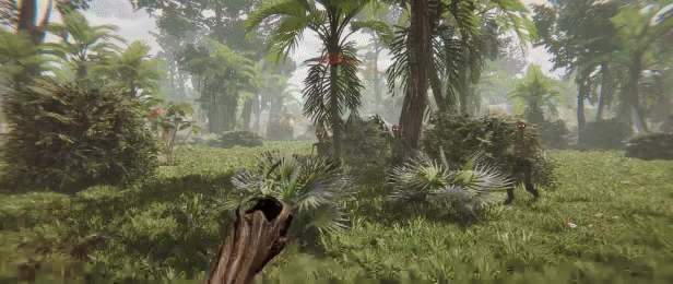 Lost Isle video 2