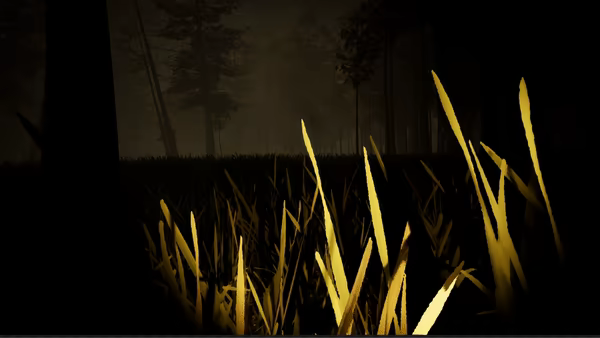 Veneficium video 2