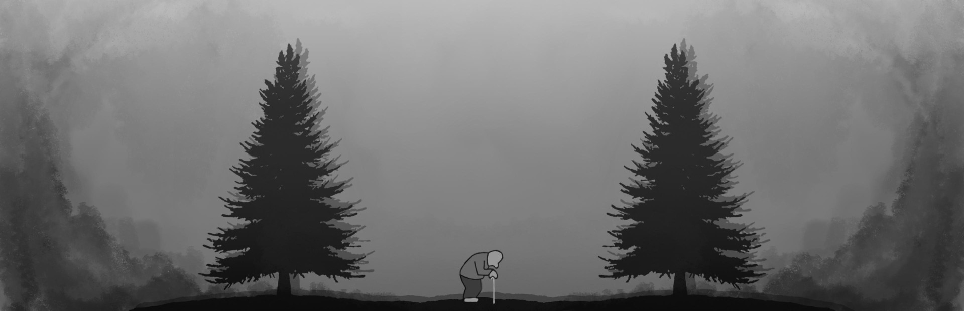 A Walk Through Echoes