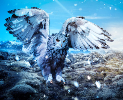 Master of Pieces © Jigsaw Puzzle Winter Tale DLC