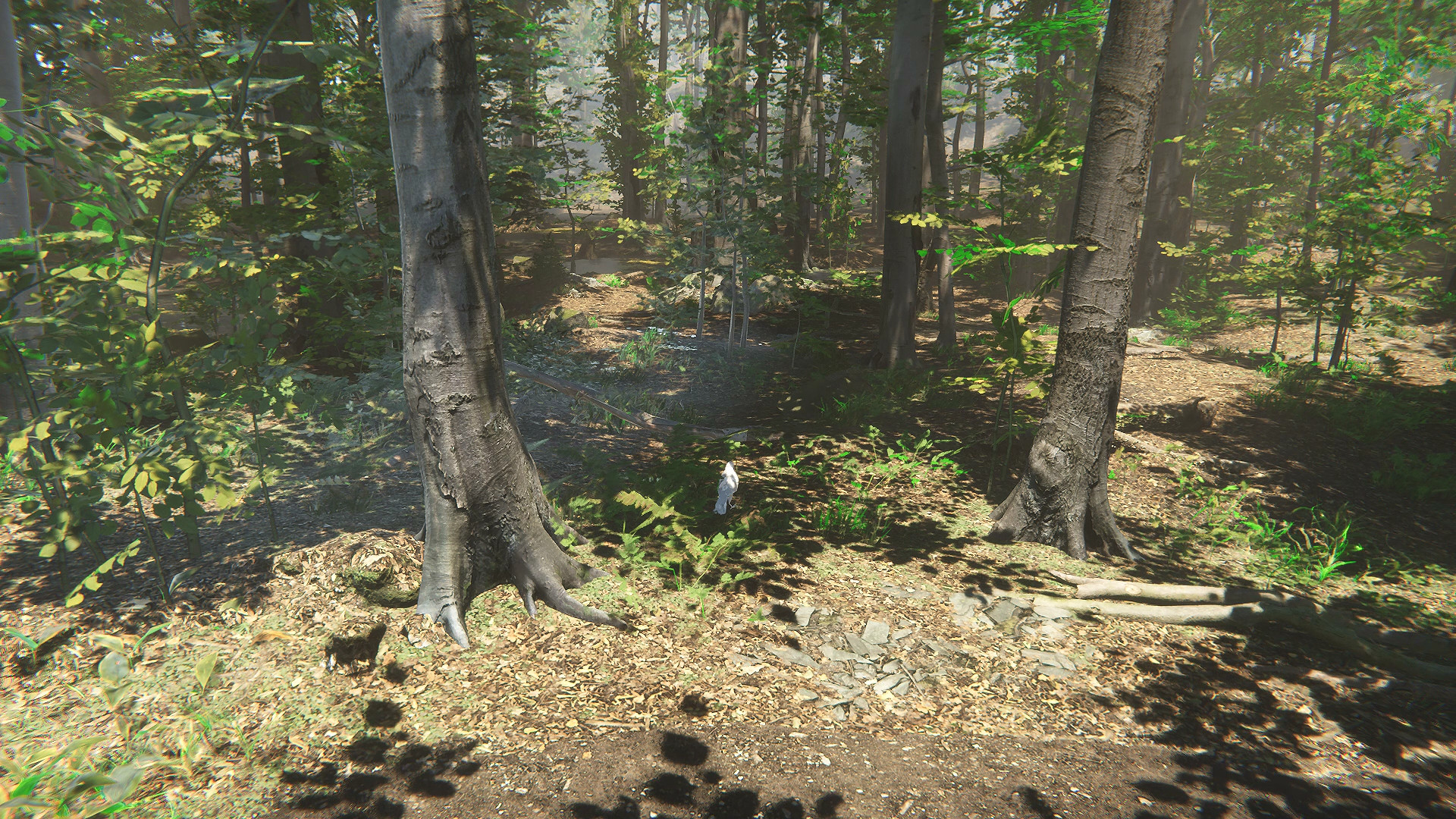 Bird Featured Screenshot #1