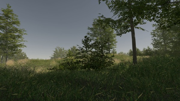 Screenshot z VR Walking Simulator Screenshot z VR Walking Simulator