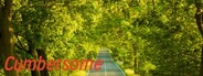 Capsule media