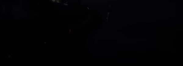 N31 video 2