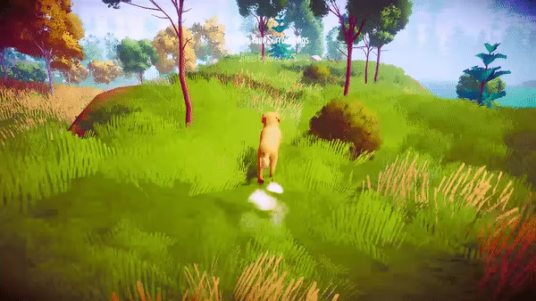 The Lost Dog video 3