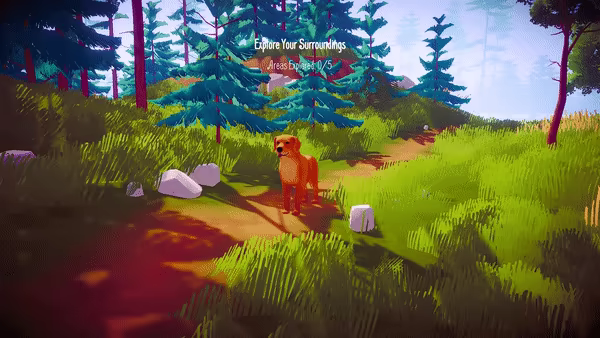 The Lost Dog video 2