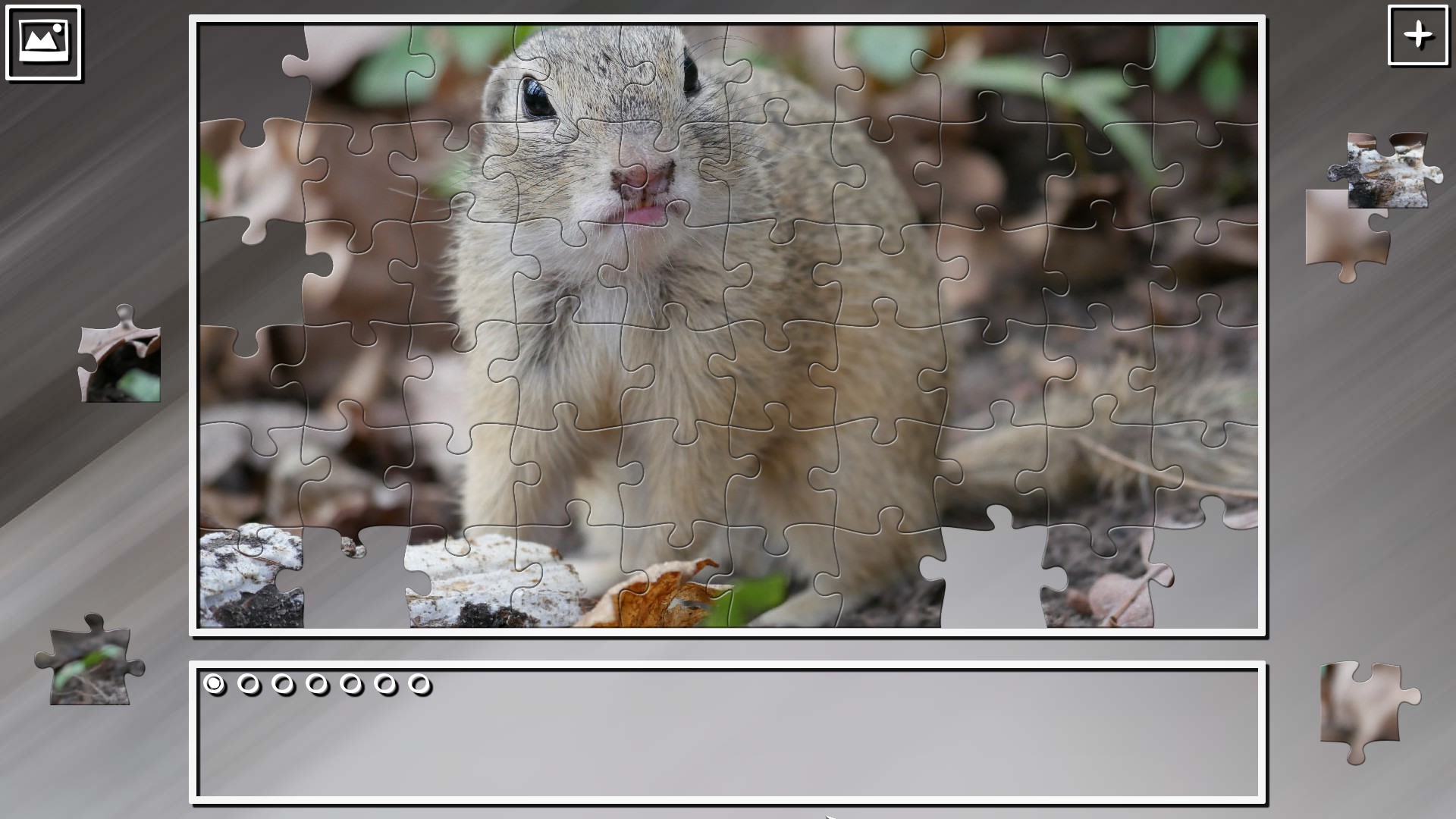 Super Jigsaw Puzzle: Generations - Rodents Featured Screenshot #1