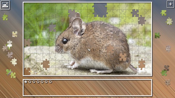 Super Jigsaw Puzzle: Generations - Rodents