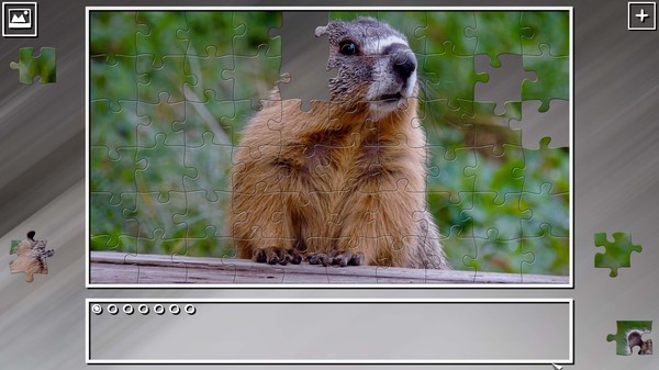 Super Jigsaw Puzzle: Generations - Rodents