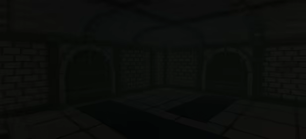 RAIDBORN video 5