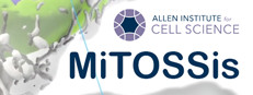 MiTOSSis