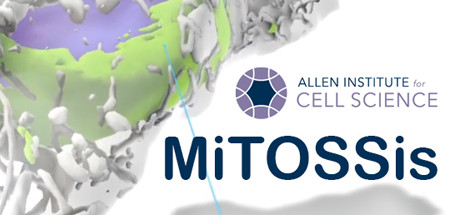 MiTOSSis Cover Image