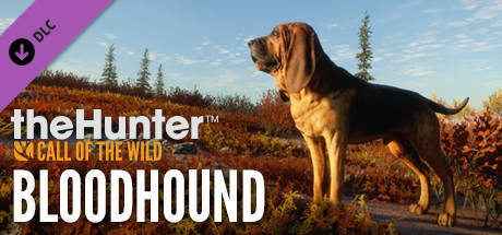 theHunter: Call of the Wild™ - Bloodhound cover image