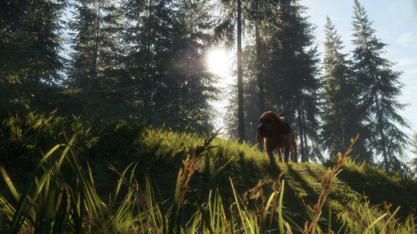 KHAiHOM.com - theHunter: Call of the Wild™ - Bloodhound