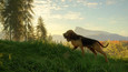 Screenshot #4