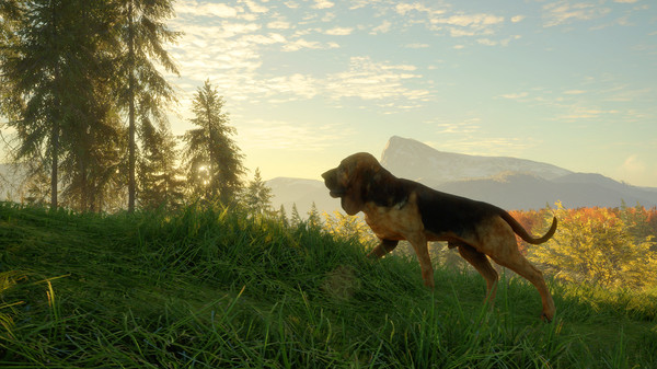 screenshot4