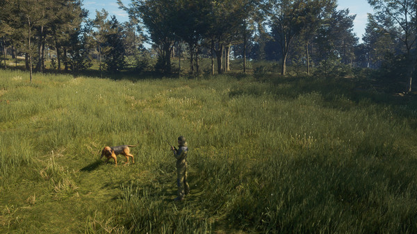 KHAiHOM.com - theHunter: Call of the Wild™ - Bloodhound