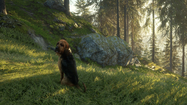 screenshot5