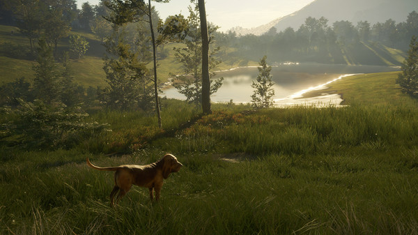 screenshot9