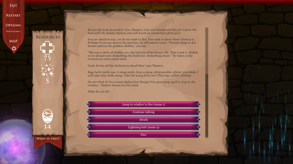 Screenshot z DnD Adventure: Wizard's Choice