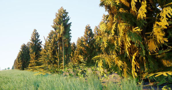 Screenshot z {Undefined}