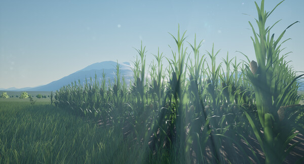 Screenshot z {Undefined}