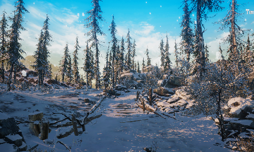 Cold Breath