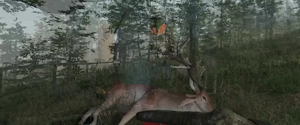 Virtual Hunter video 5
