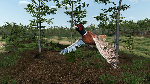 Virtual Hunter Screenshot