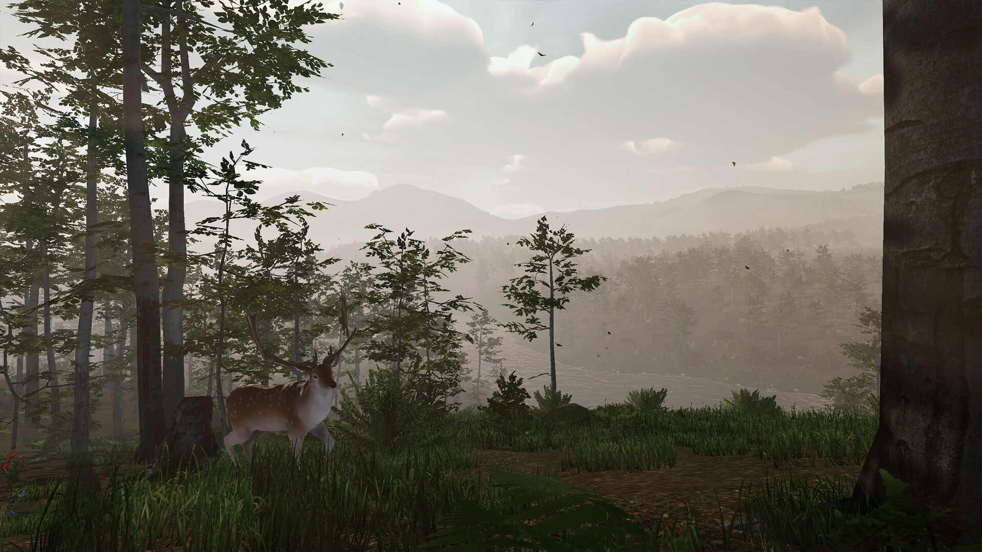 Virtual Hunter