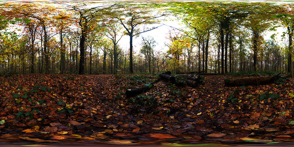 Cubemaps for Clip maker
