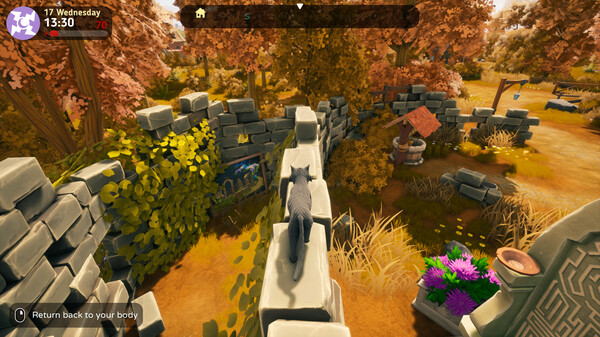 The Witch of Fern Island screenshot 7