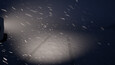 Screenshot #1