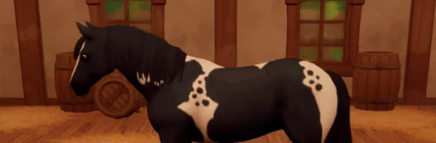 The Ranch of Rivershine video 9