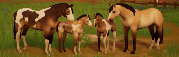 The Ranch of Rivershine video 5