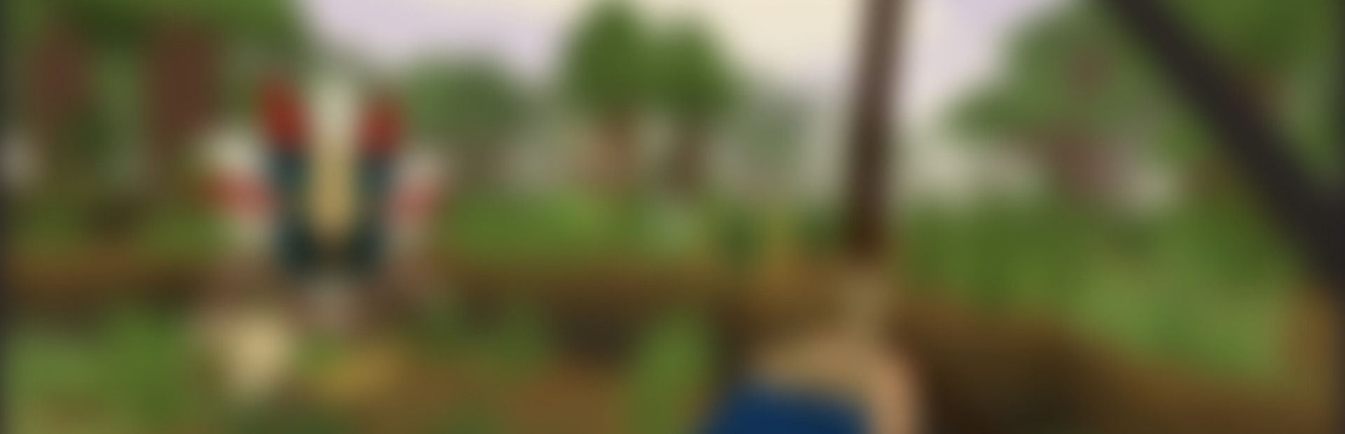 PIRATECRAFT