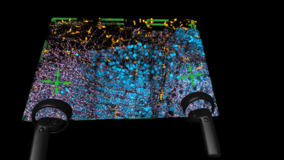 syGlass View Featured Screenshot #1