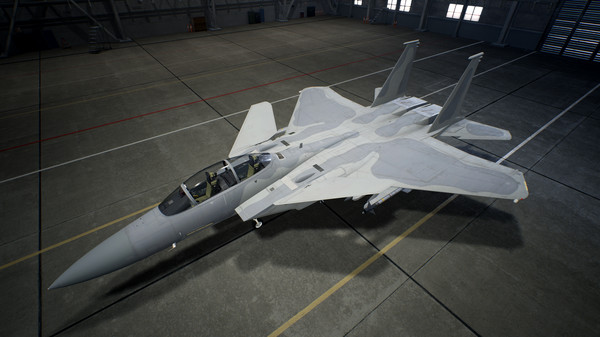 ACE COMBAT™7: SKIES UNKNOWN - F-15 S/MTD Set