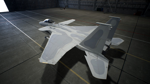 ACE COMBAT™7: SKIES UNKNOWN - F-15 S/MTD Set