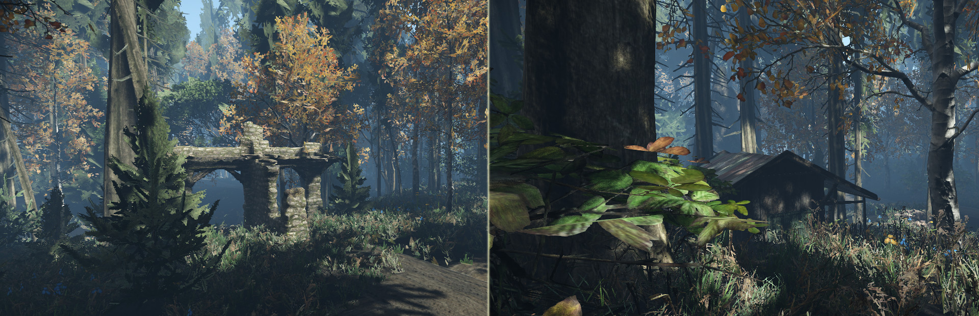 Duty in the Forest