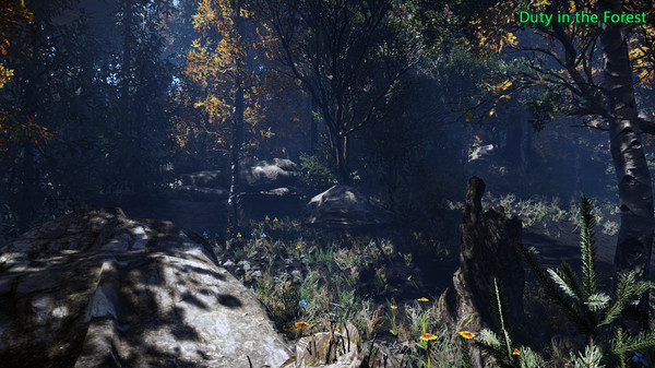 Screenshot z Duty in the Forest